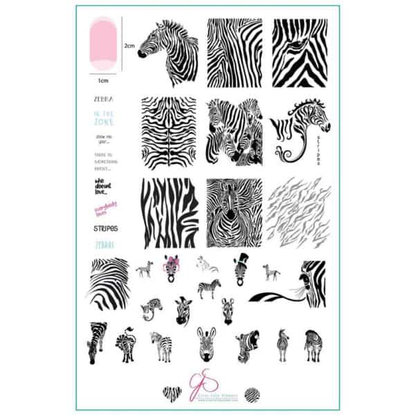 Wild Kingdom – Zebra